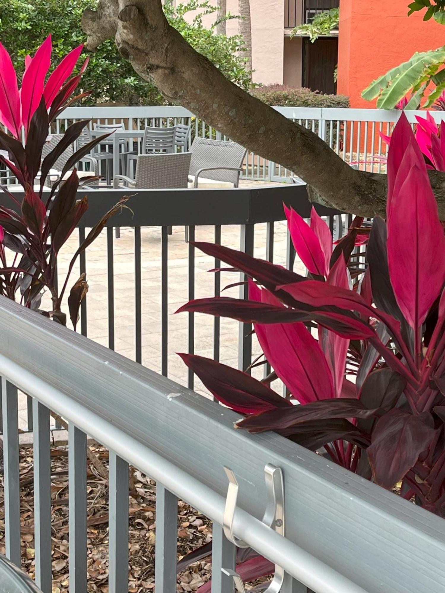 Grand Hotel Orlando At Universal Blvd - Shuttle To Theme Parks エクステリア 写真